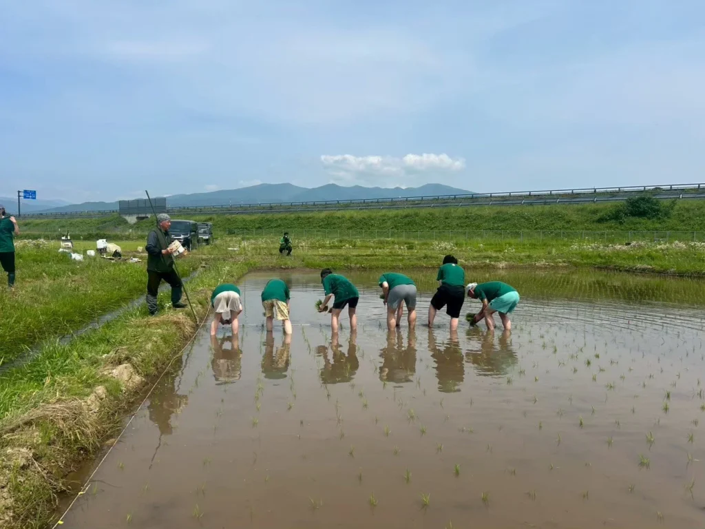 福島県会津若松市で田植えをする人々