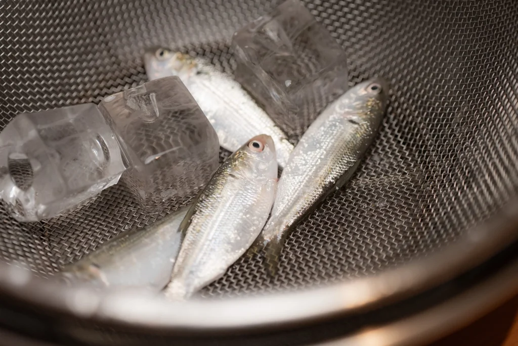 ザルに入った小魚
